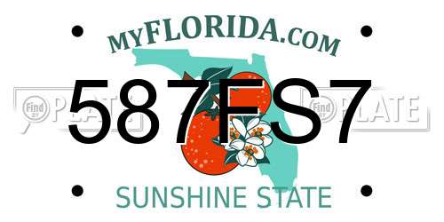 587FS7 Florida License Plate