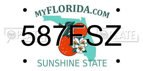 587FSZ Florida License Plate