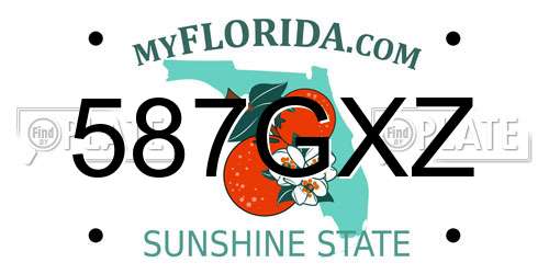 587GXZ Florida License Plate