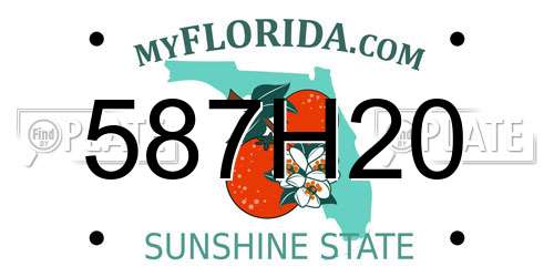 587H20 Florida License Plate