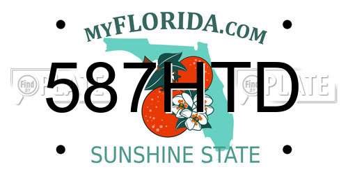 587HTD Florida License Plate
