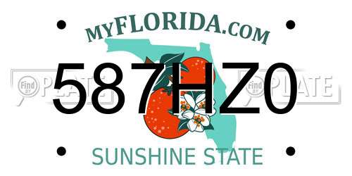 587HZ0 Florida License Plate