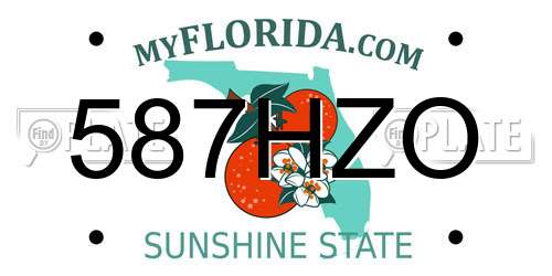587HZO Florida License Plate