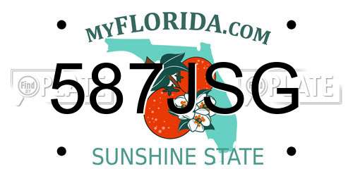 587JSG Florida License Plate