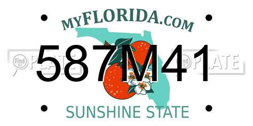 587M41 Florida License Plate