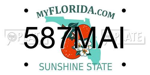 587MAI Florida License Plate