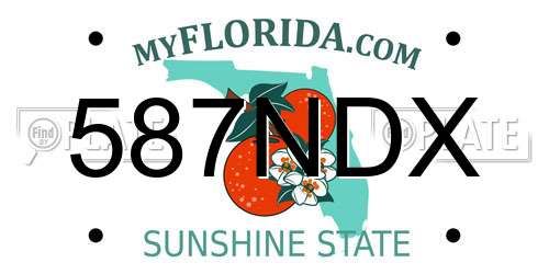 587NDX Florida License Plate