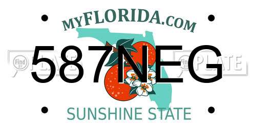 587NEG Florida License Plate