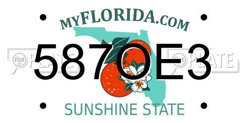 587OE3 Florida License Plate