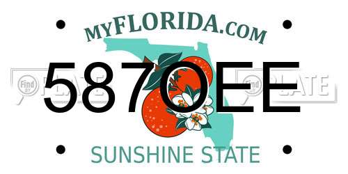 587OEE Florida License Plate