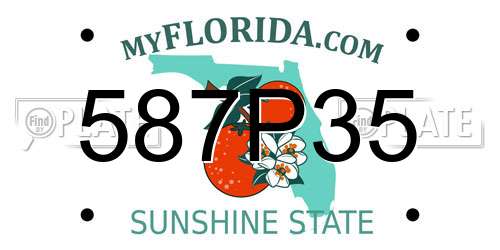 587P35 Florida License Plate