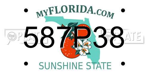 587P38 Florida License Plate