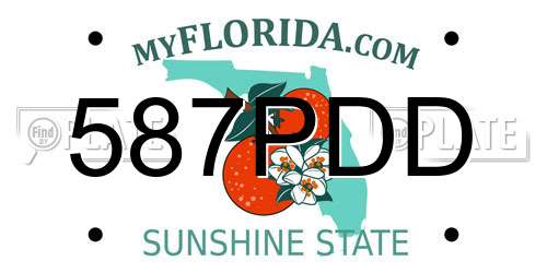 587PDD Florida License Plate