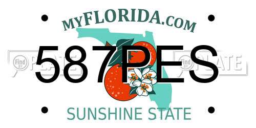 587PES Florida License Plate