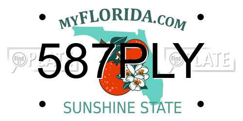 587PLY Florida License Plate