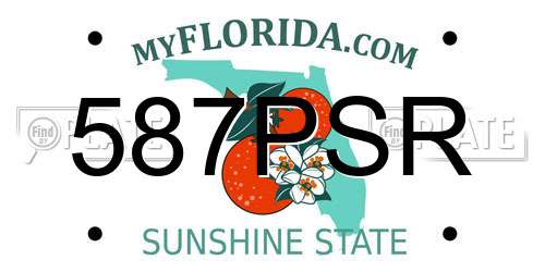 587PSR Florida License Plate