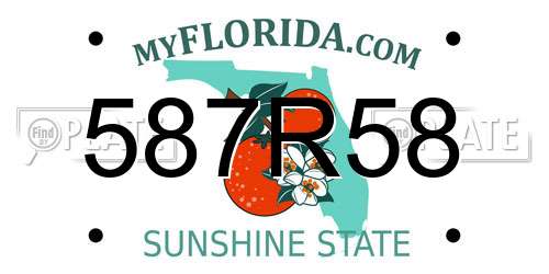 587R58 Florida License Plate