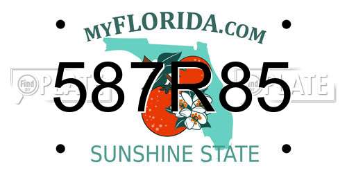 587R85 Florida License Plate