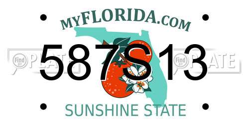 587S13 Florida License Plate