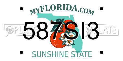 587SI3 Florida License Plate