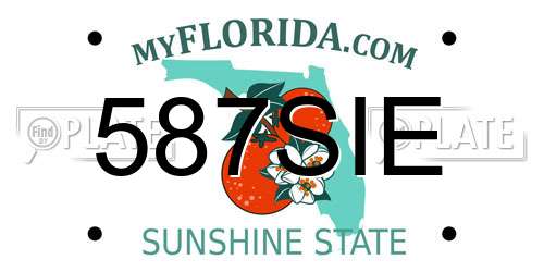 587SIE Florida License Plate
