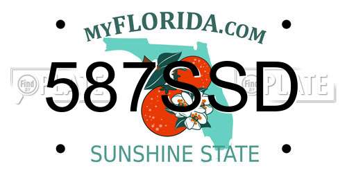 587SSD Florida License Plate