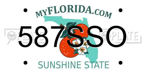 587SSO Florida License Plate