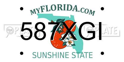 587XGI Florida License Plate