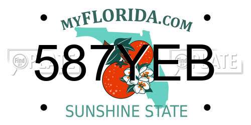 587YEB Florida License Plate