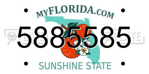 5885585 Florida License Plate