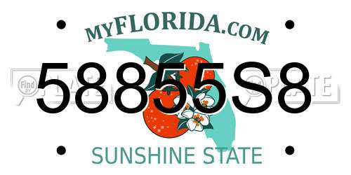 58855S8 Florida License Plate