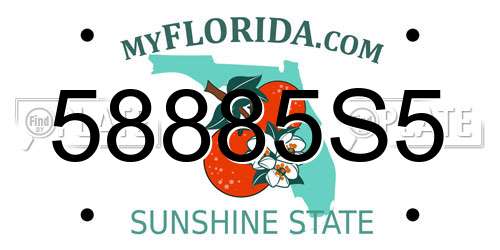 58885S5 Florida License Plate