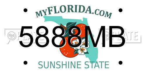 5888MB Florida License Plate