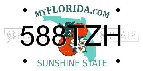 588TZH Florida License Plate