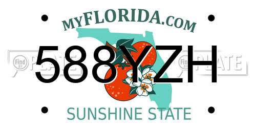588YZH Florida License Plate