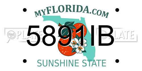 5891IB Florida License Plate