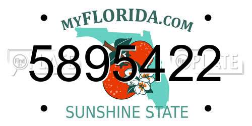 5895422 Florida License Plate
