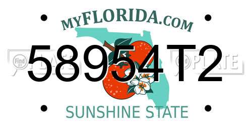 58954T2 Florida License Plate