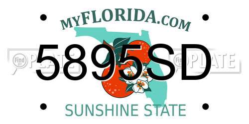 5895SD Florida License Plate