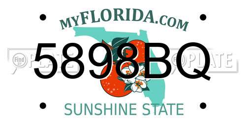 5898BQ Florida License Plate