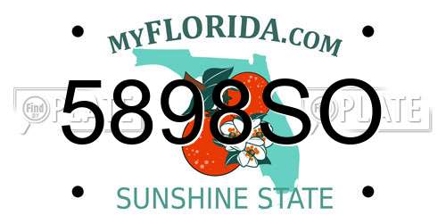 5898SO Florida License Plate