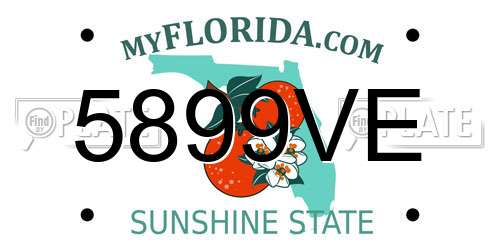 5899VE Florida License Plate