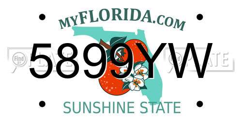 5899YW Florida License Plate