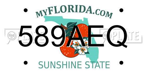 589AEQ Florida License Plate