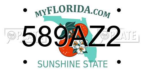 589AZ2 Florida License Plate