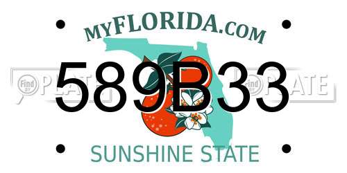 589B33 Florida License Plate
