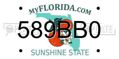 589BB0 Florida License Plate
