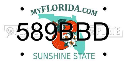 589BBD Florida License Plate