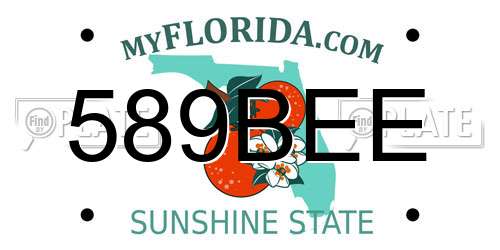 589BEE Florida License Plate