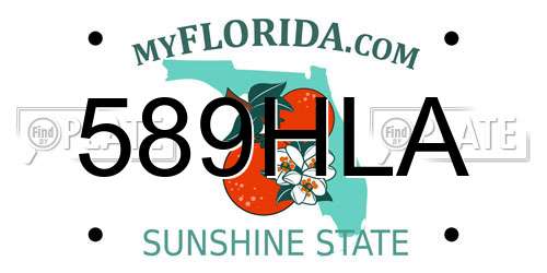 589HLA Florida License Plate